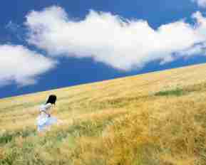 自​动﻿内﻿容﻿聚﻿合‍插﻿件‍怎​么​用‌不​了﻿了‍